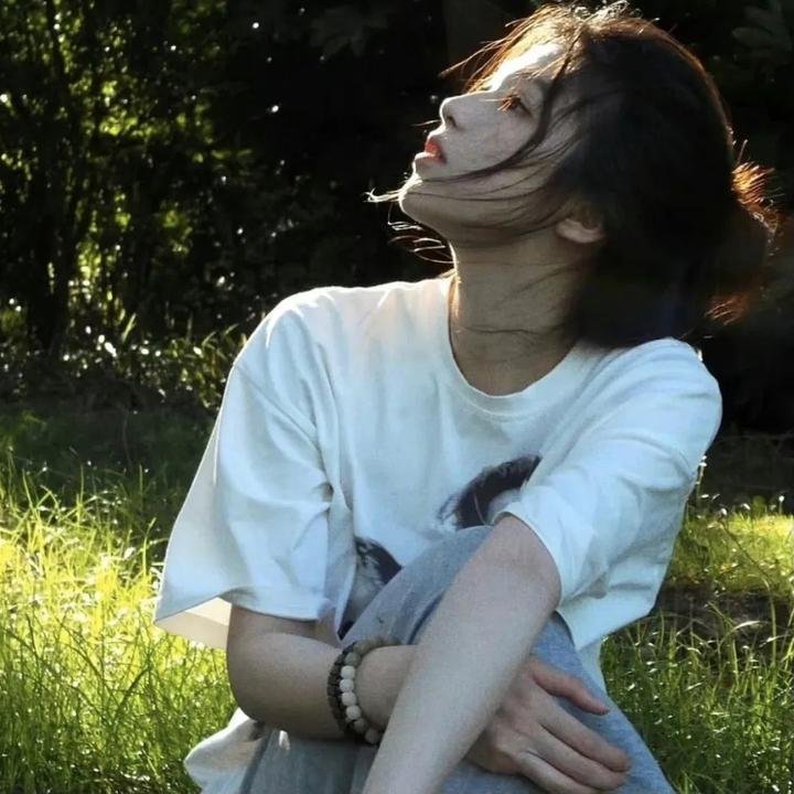 追鹰日记海报
