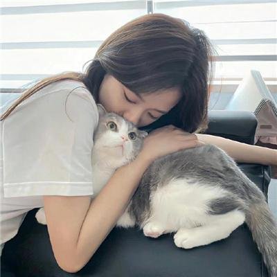 爱奴海报